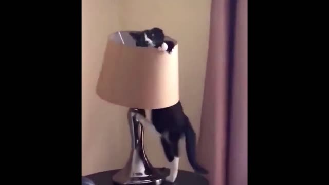 Turning on the light