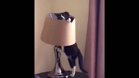 Turning on the light