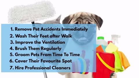 10 Tips To Keep Your House Super Clean With Pets