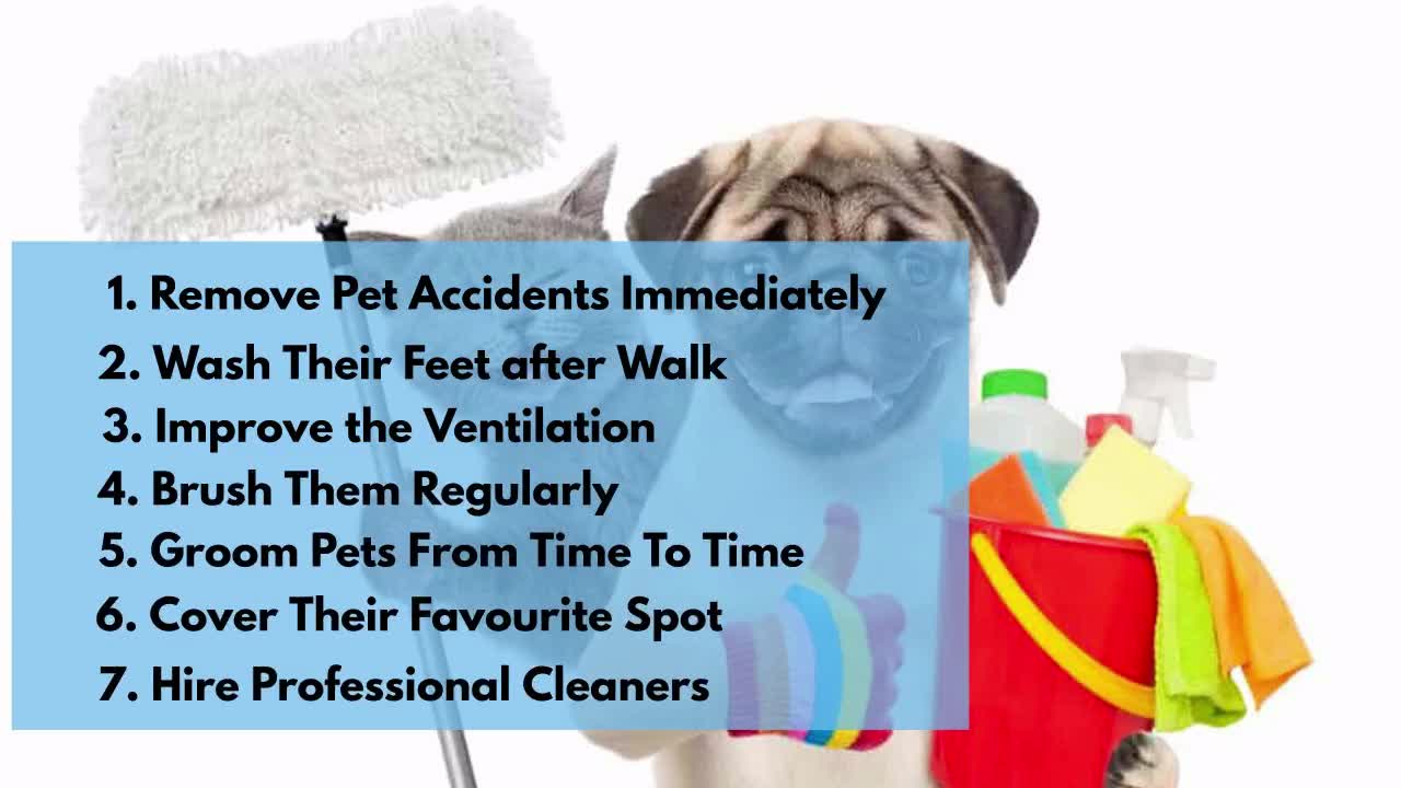 10 Tips To Keep Your House Super Clean With Pets