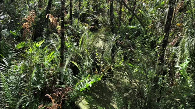 A day at the Botanical Gardens