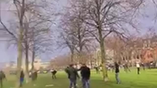 Romeo netherland exposed