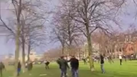 Romeo netherland exposed