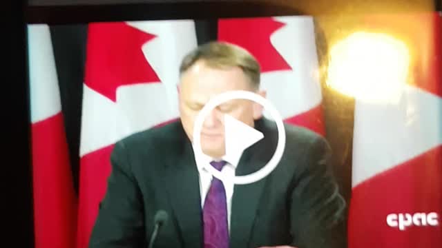 FINALLY Cats out of the bag