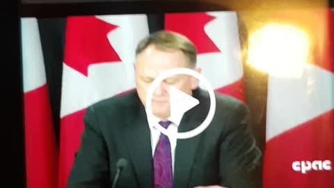 FINALLY Cats out of the bag