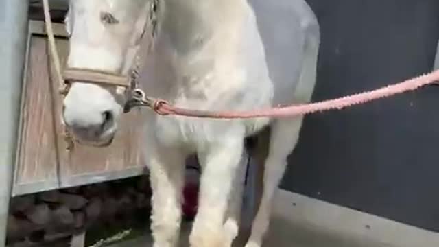 2022-3-13 upon arrival