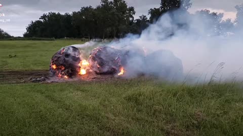 Bon fire