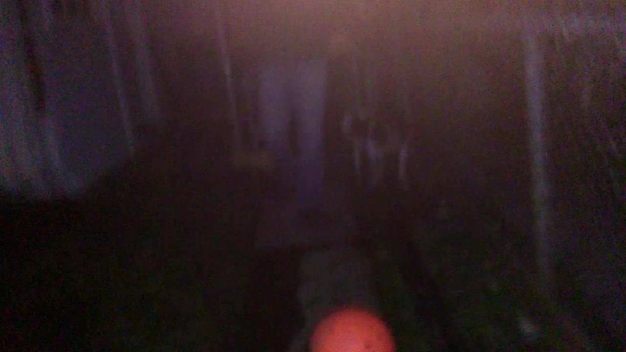 My dogo playing with his ball!