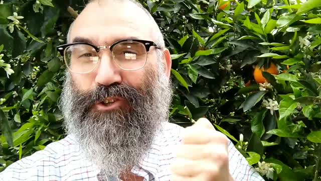 חברים יקרים בואו איתי לבירכת אילנות