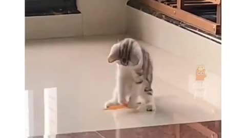 So funny and cute 🥰