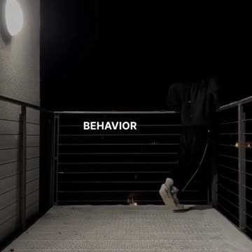 A woman can destroy your whole life