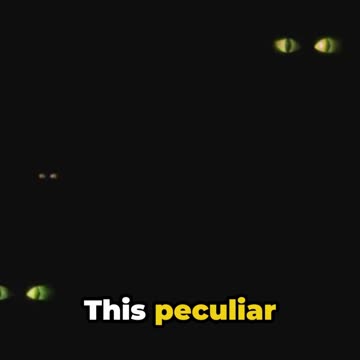 The Kelly Hopkinsville Encounter