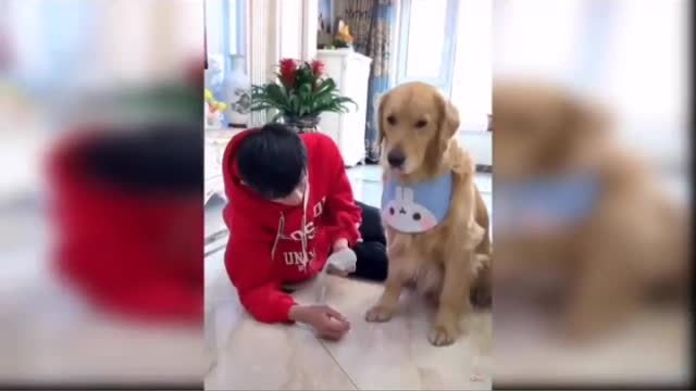 BEST FRIENDS PETS
