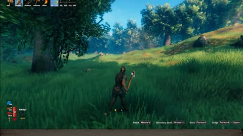 Valheim - Surprise Mofo!