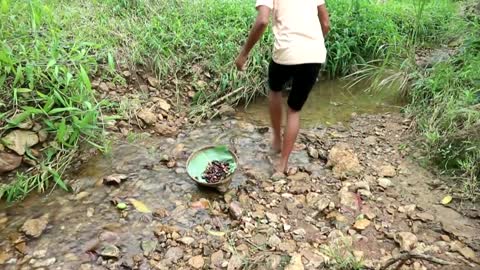 Survival skills_ Catch insects on tree grilled on clay for food - Cooking insects eating delicious