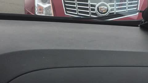 Having a Honking Good Time