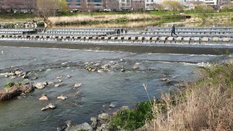 The stepping stone on the promenade of the river.