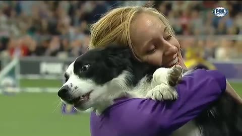 Pink the border collie wins
