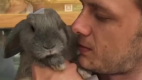 Kiss the little bunny