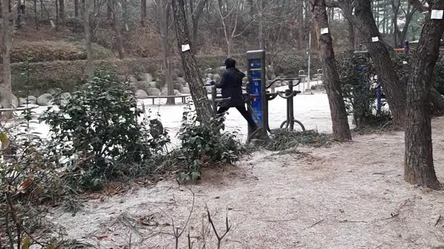 Grandma exercising in snow!!!