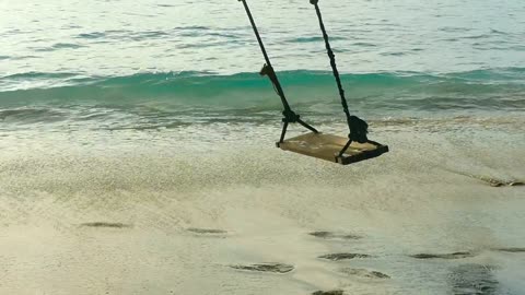 Rope swings on a sandy the beach