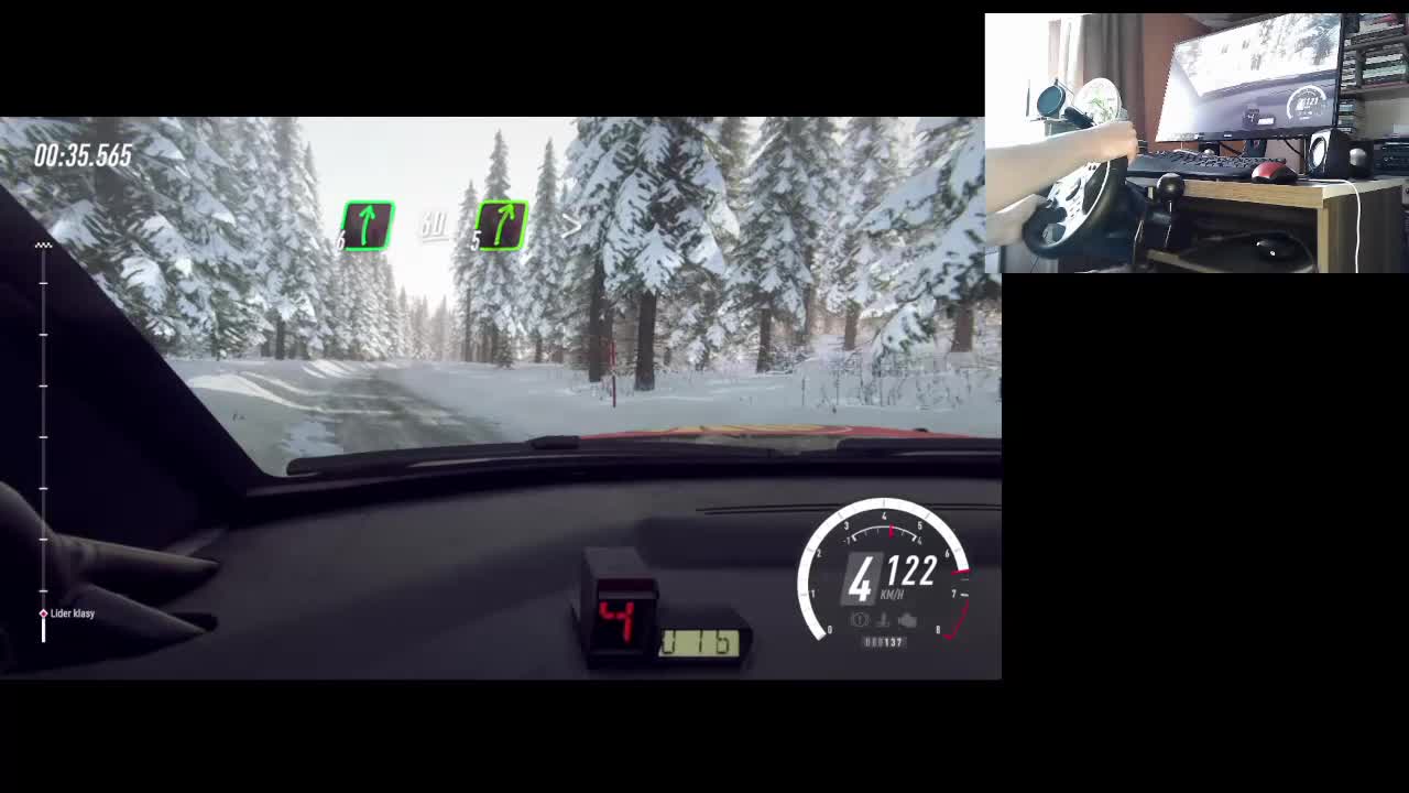 Dirt Rally 2.0 - Citroen C4 WRC - Sweden - Highlights