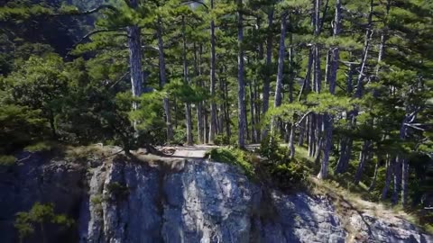 4K Rocky Mountains and green Trees amazing view 2021 / A Beautiful View Of The Nature