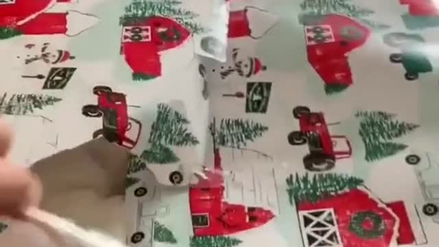 THE BEST SURPRISE FOR YOUR CAT😍😘😘🎉🎉🎉🎉|CATMINIA