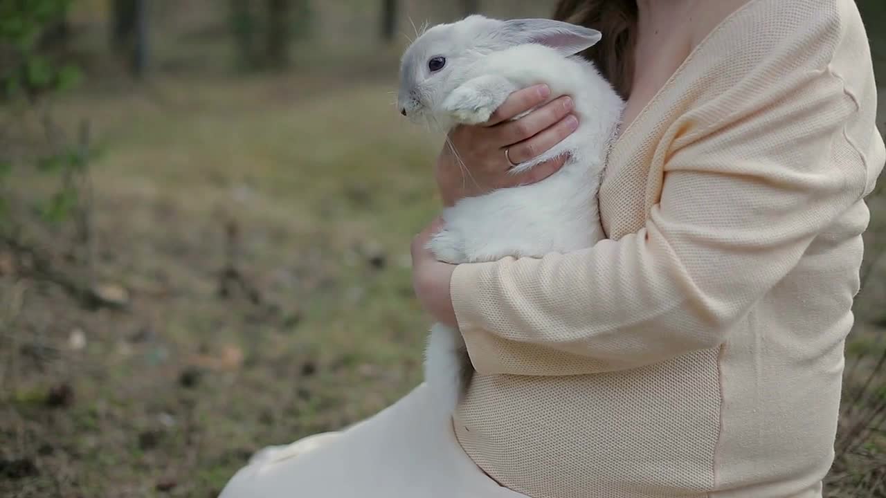 Girl and white rabbit