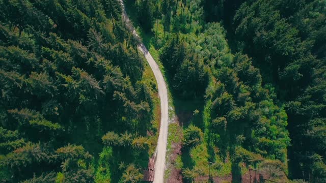 Long Narrow Road / nature