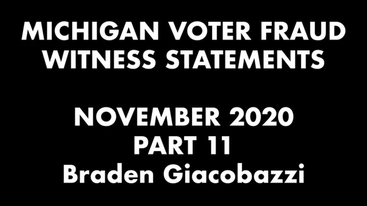 Michigan Voter Fraud Witness Statements.