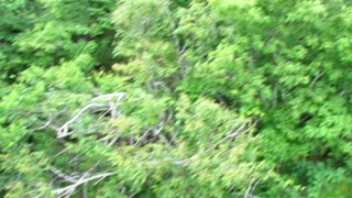 Beech Mountain, NC mountain bike trail & competition