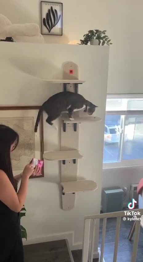 She built a replica for her cat 😊😊😊👍