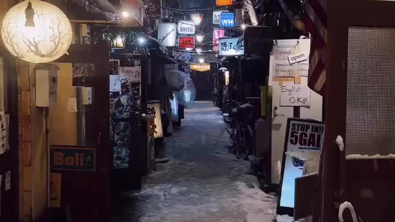 Tokyo at night when it snows