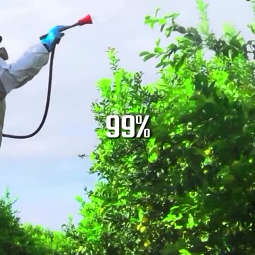 Removing Pesticides from Foods