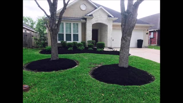 Carlos Tree and Landscaping Services - (832) 852-3112