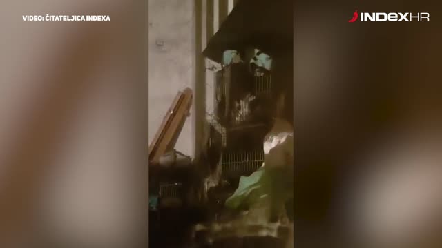 Čovjek na Savici drži štence, kokoši, golubove i zeca