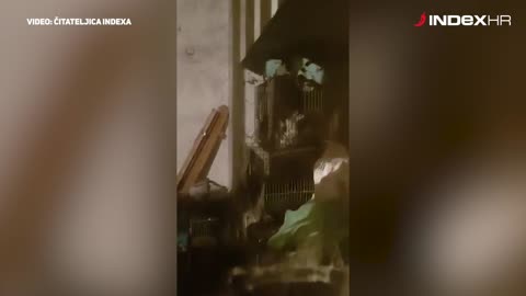 Čovjek na Savici drži štence, kokoši, golubove i zeca