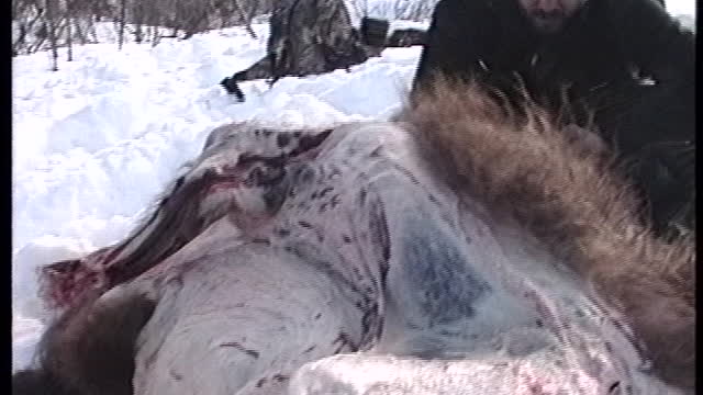 Alaska Hunt