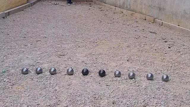 Shoot 10 balls