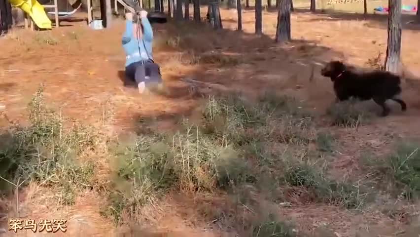 the car driver is stubborn