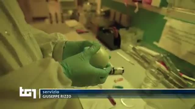 L'istituto italiano di tecnologia progetta microchip da inserire nei cibi