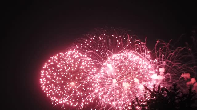 Fireworks displayed at night