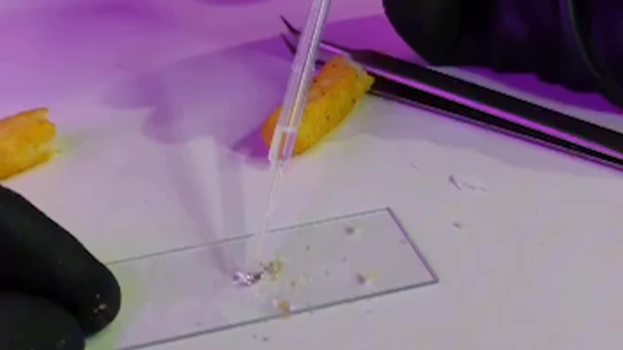 Parasites in Cheetos🕷️🪱; microscopic proof 🔥🔥🔥