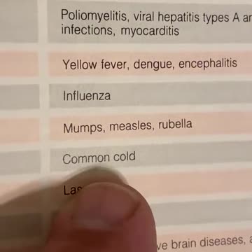 Corona Viruses = Common Colds (AMAE)