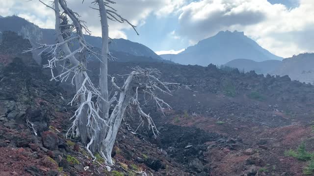 Central Oregon - Three Sisters Wilderness - Exploring the Volcanic Highland