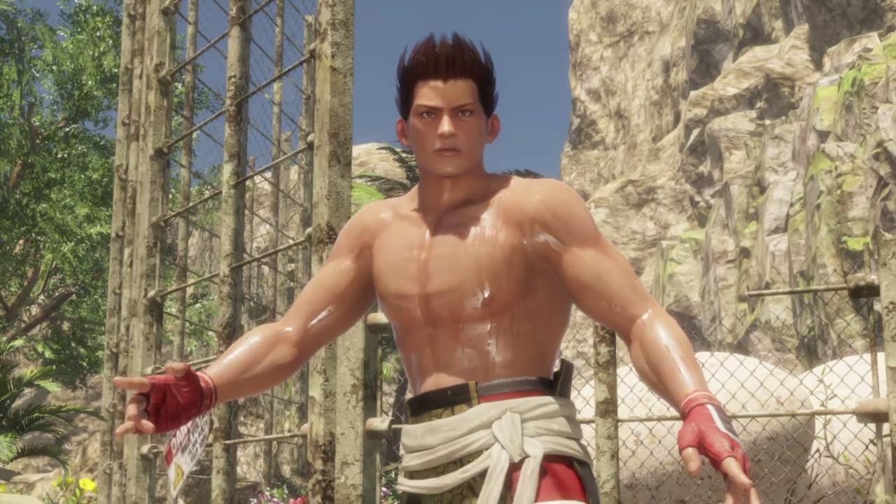 Dead or alive 6 jan lee fast fist