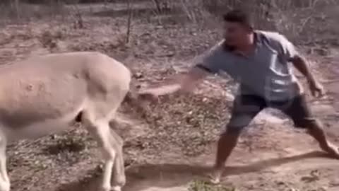 Epic Funny Fails 2024 part 28😁😂😆 #funnyvideos #funny #shorts #trending #short #comedy #viralvideo