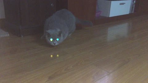 Thirsty Predator