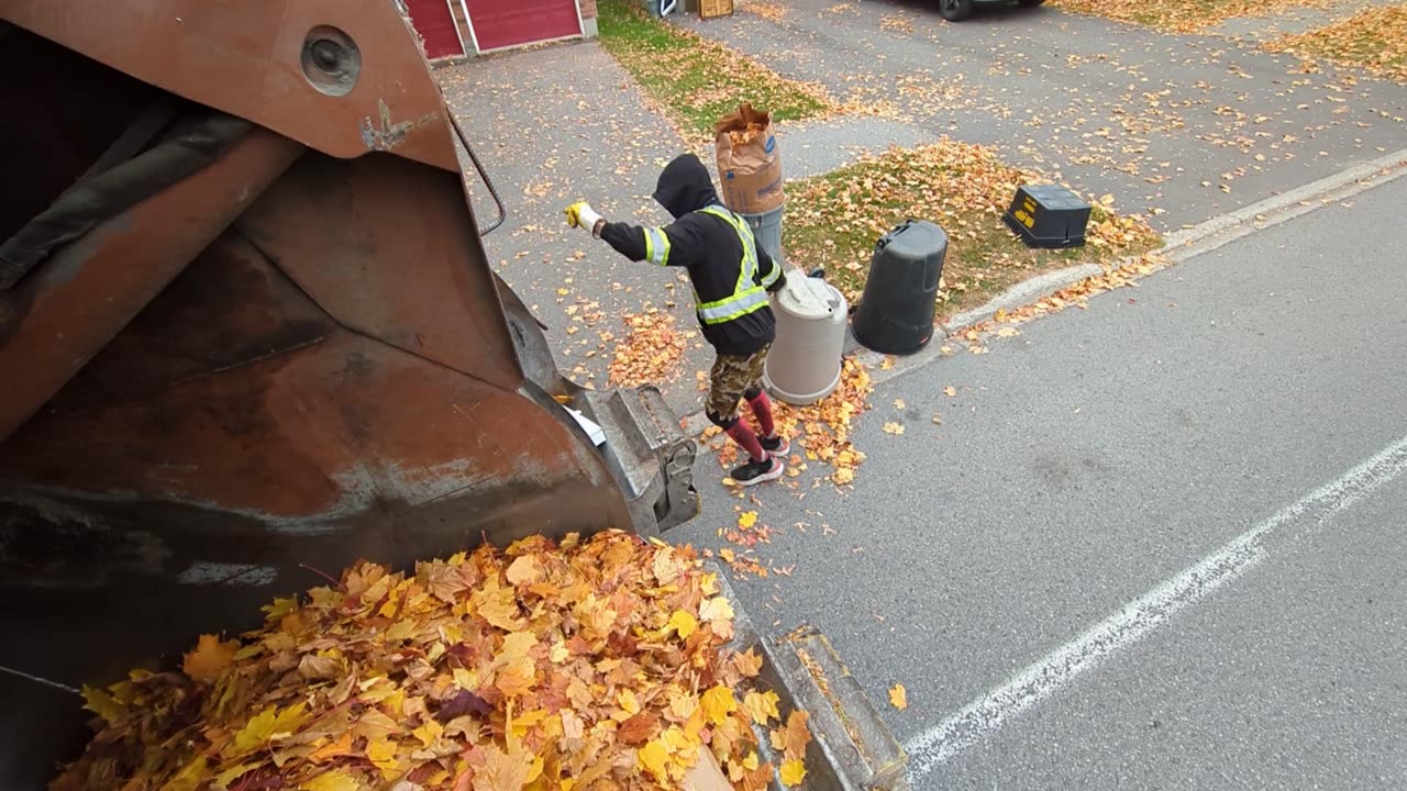 My 30 min sampler of Yardwaste and Co-collect in Blohm (Tuesday beat)